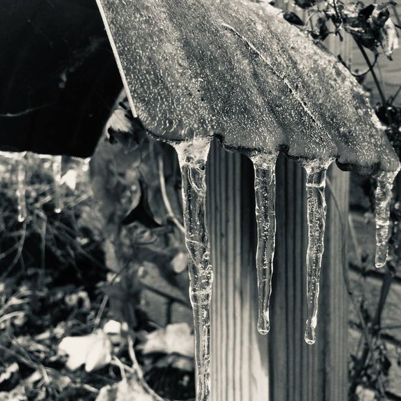 Meet your Posher, Jacob - Picture 1 of 1